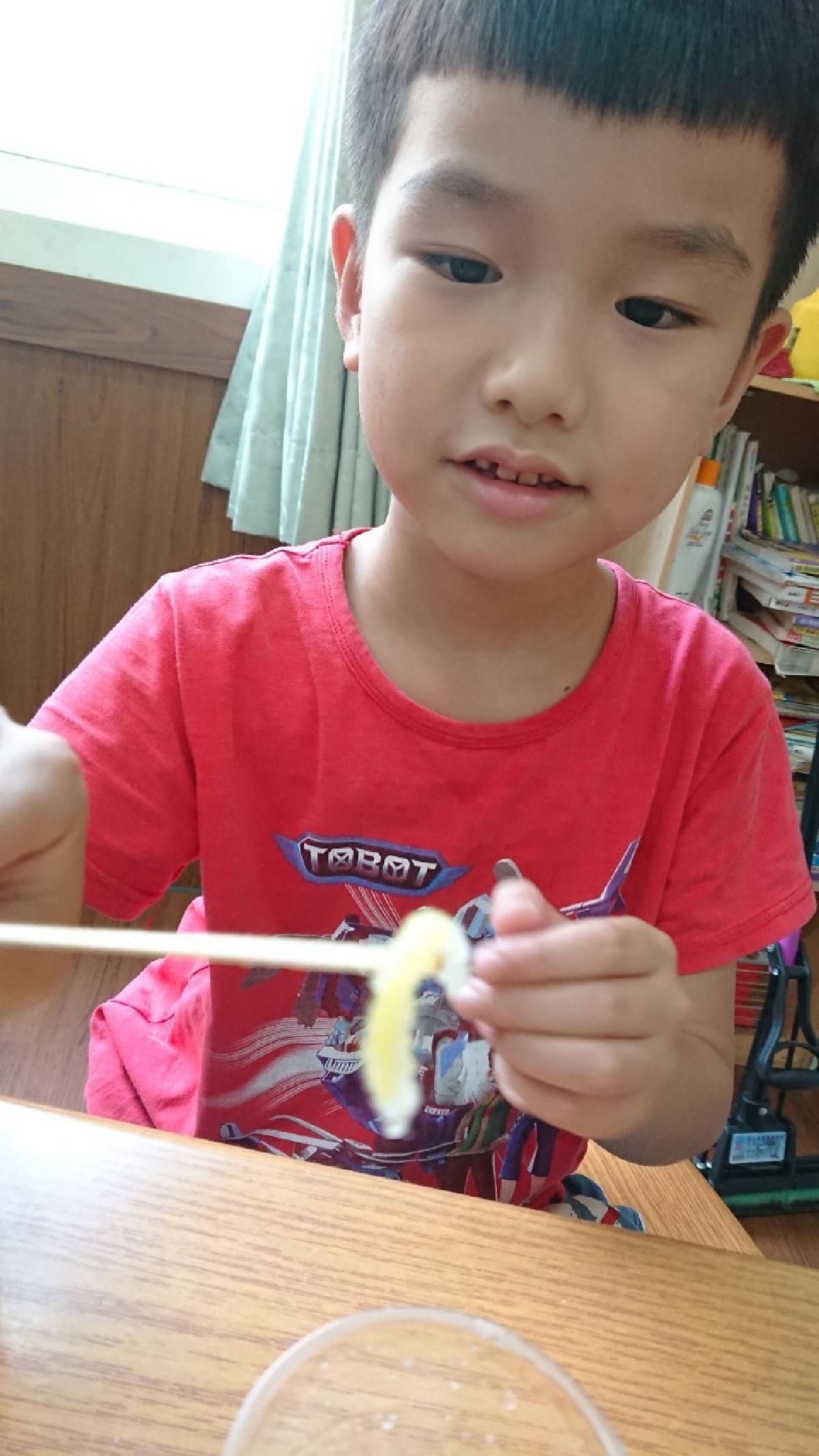 20200819科學小實驗～美麗的結晶（毛細現象）_200820_5