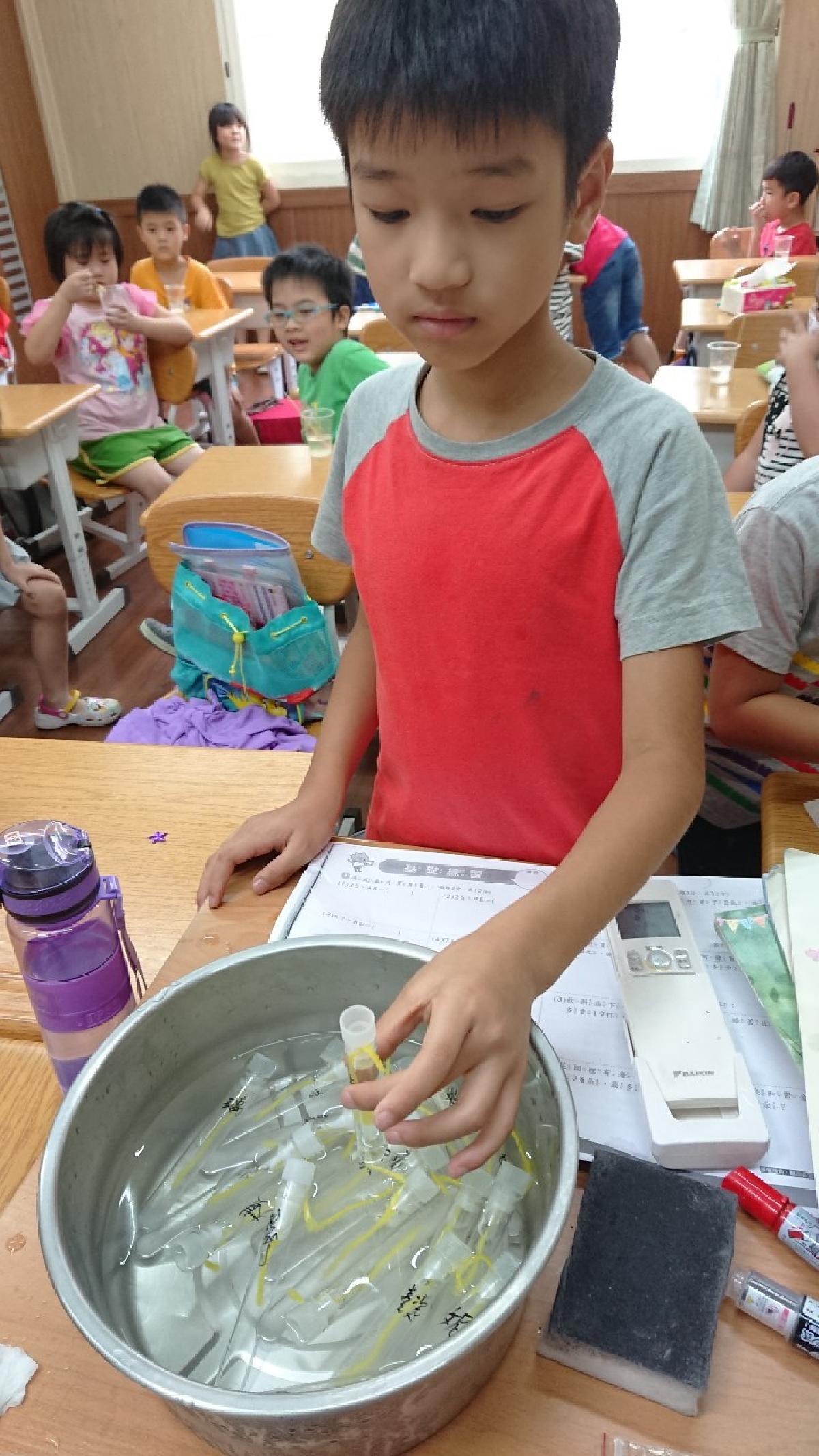 20200819科學小實驗～美麗的結晶（毛細現象）_200820_17