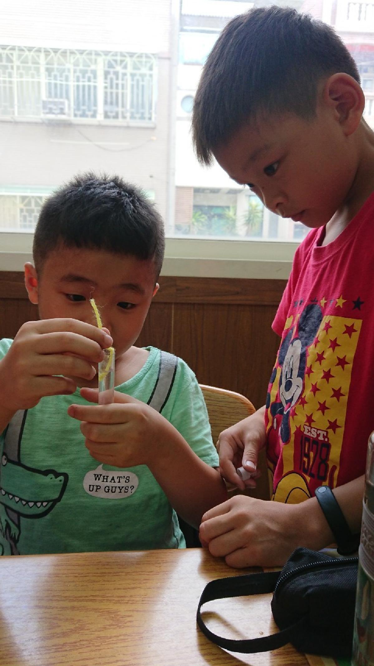 20200819科學小實驗～美麗的結晶（毛細現象）_200820_3