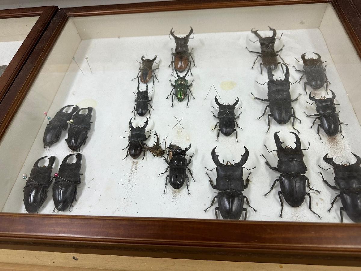 line_album_20240809亞太生態園區體驗趣_240819_2