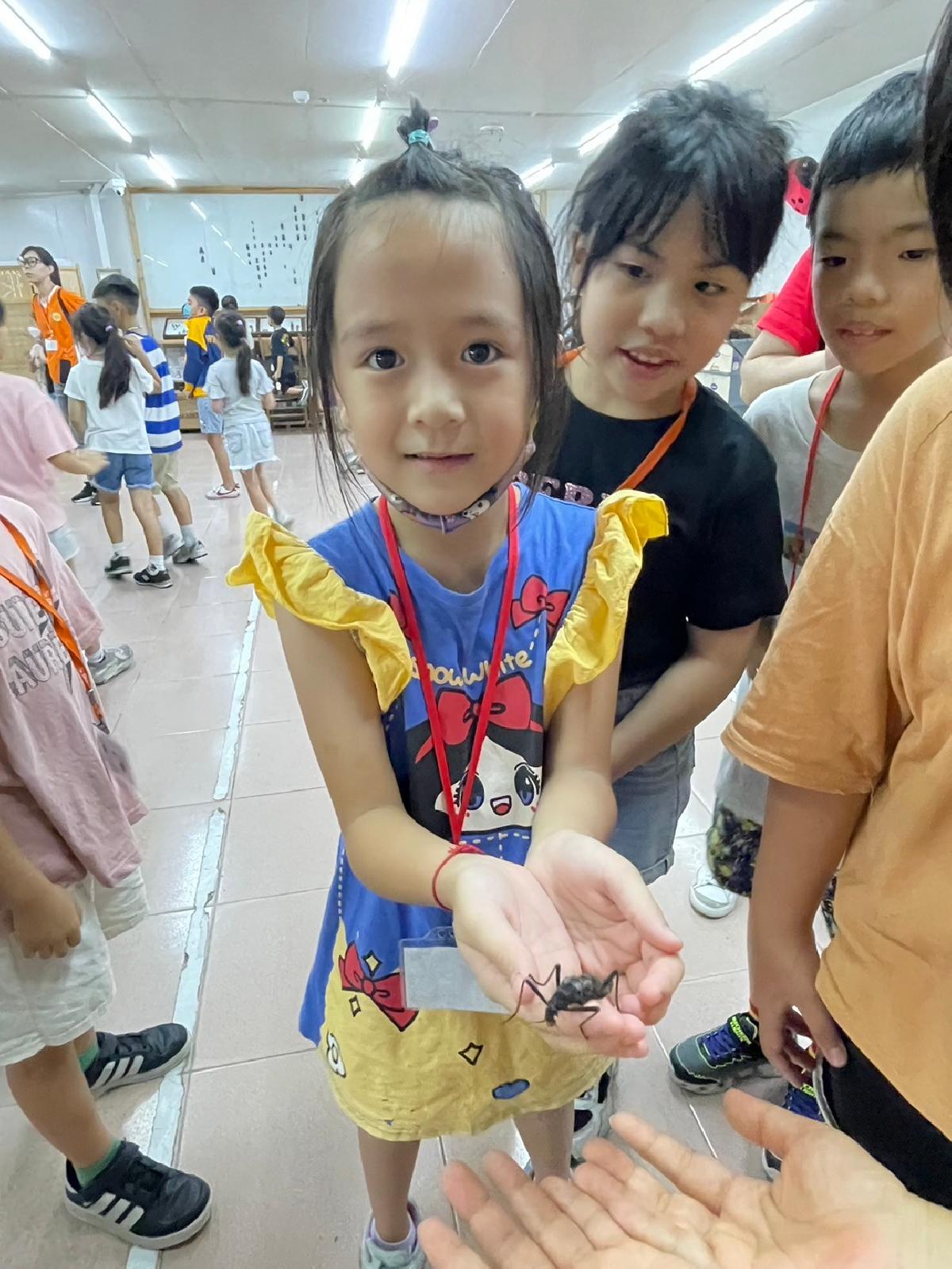 line_album_809亞太cd車_240819_129